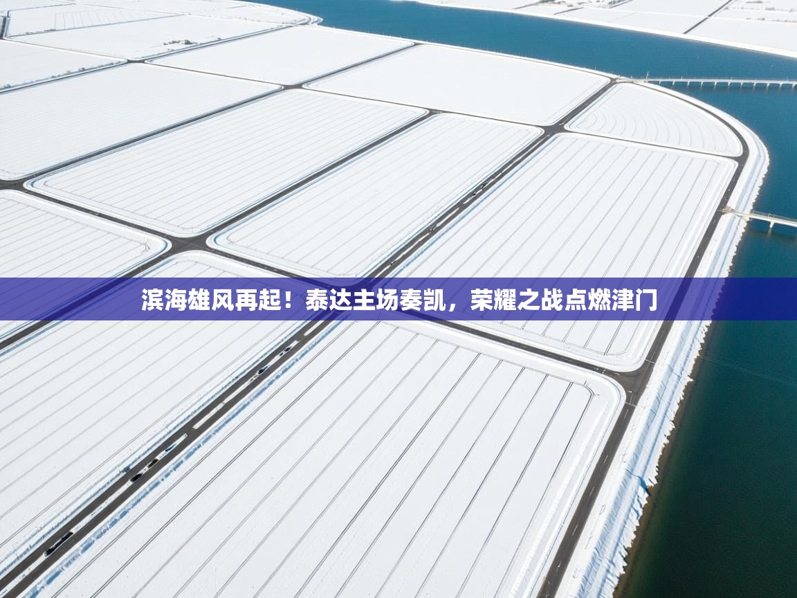 滨海雄风再起!泰达主场奏凯,荣耀之战点燃津门 第1张